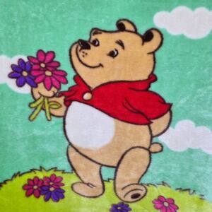 Vintage Winnie the Pooh Plush Blanket Flowers Clouds Green Throw Blanket 90's